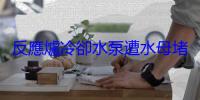 反應爐冷卻水泵遭水母堵塞，法國北部核電廠暫停運作